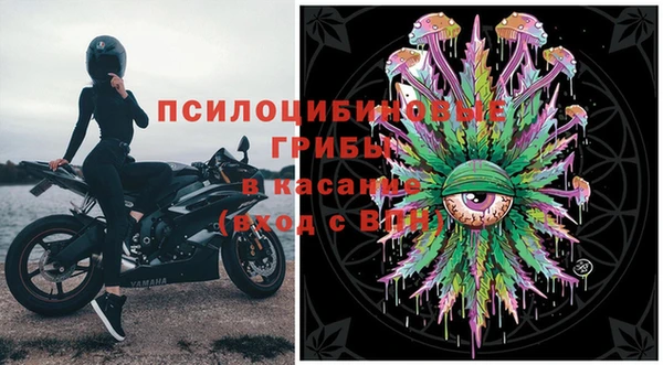 Альфа ПВП Белокуриха