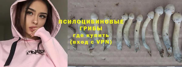 Альфа ПВП Белокуриха